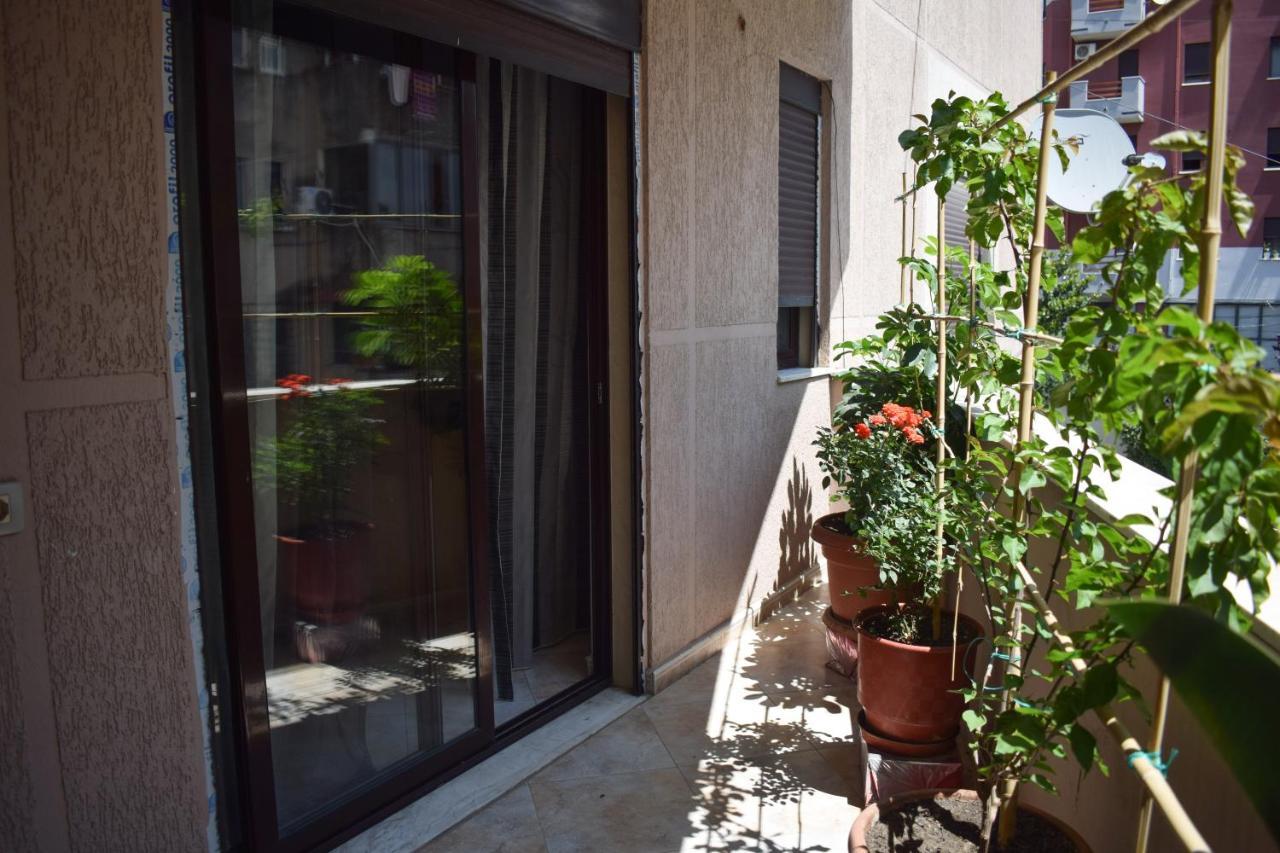 New Apartment Zoe Szkodra Zewnętrze zdjęcie